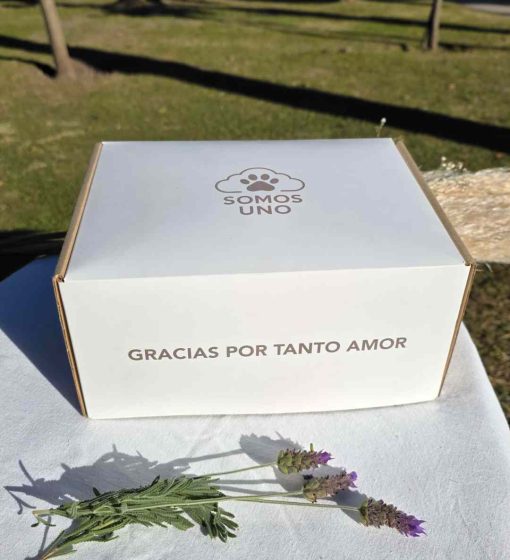 Proyecto nuevo (3)